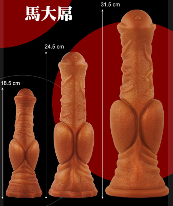 種馬陰莖示意圖